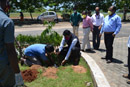 Tree plantation at NIEPMD campus